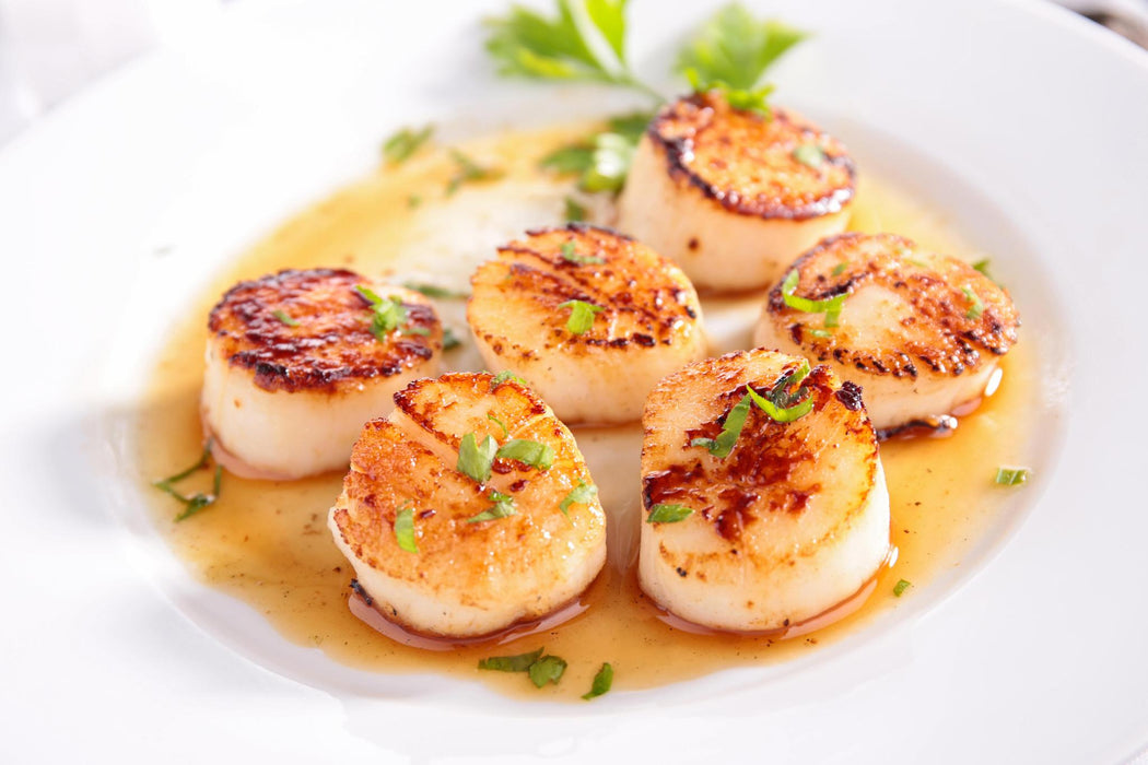 Scallops